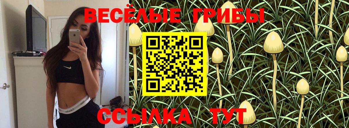 Галлюциногенные грибы ЛСД  Вход с VPN  Саянск 